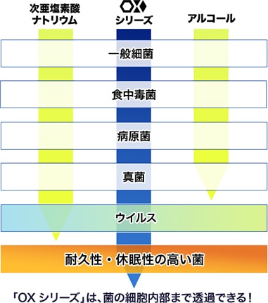 細胞内部への透過比較 アルコール：一般細菌、食中毒菌、病原菌、真菌 次亜塩素酸ナトリウム：一般細菌、食中毒菌、病原菌、真菌、ウイルス OXシリーズ：一般細菌、食中毒菌、病原菌、真菌、ウイルス、芽胞菌